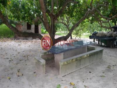 Granja para Venda, em Ceará-Mirim, bairro Santa Águeda, 2 dormitórios, 1 banheiro